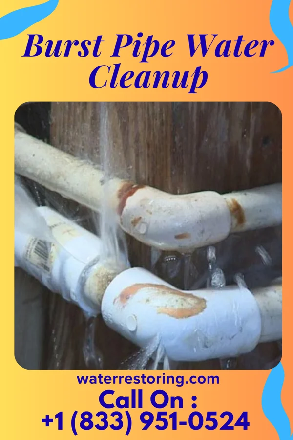 Burst Pipe Water Cleanup in Lyndon, KS