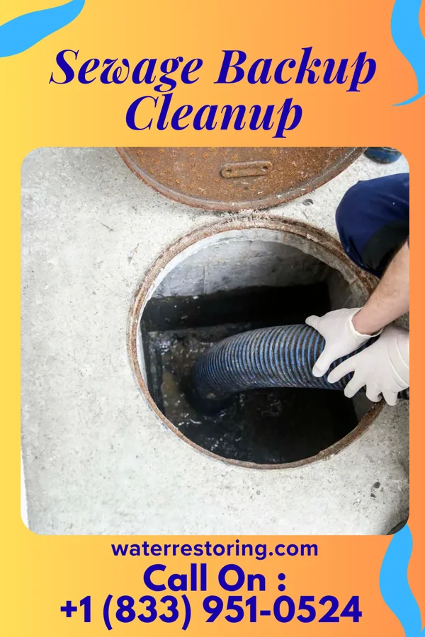 Sewage Backup Cleanup in Lyndon, KS