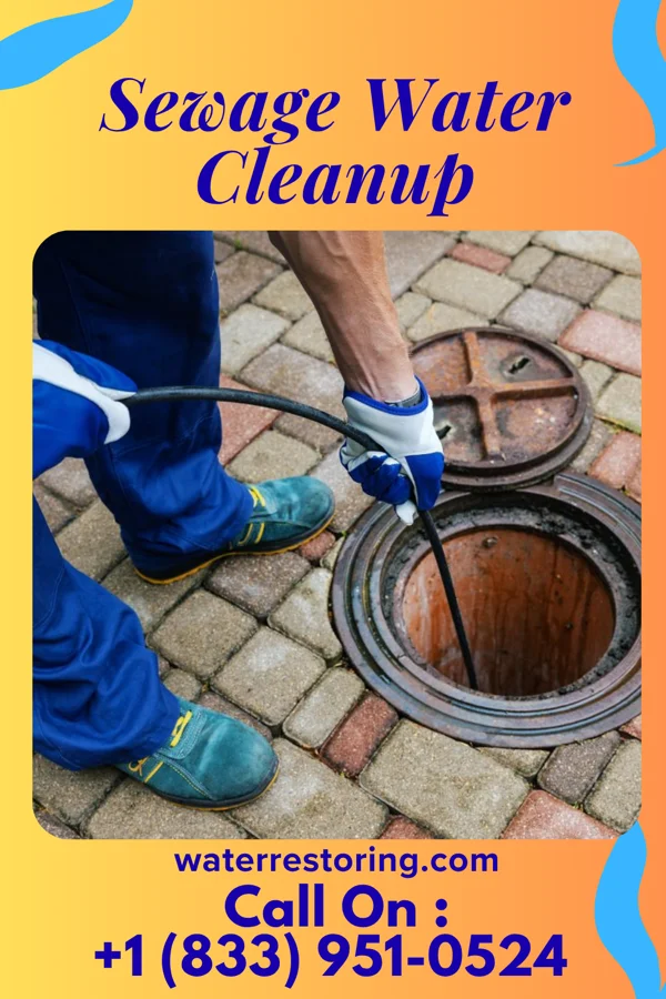 Sewage Water Cleanup in Lyndon, KS